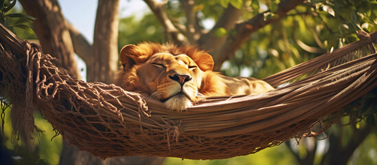 lion sleeping in a hammock. ai generated. - obrazy, fototapety, plakaty