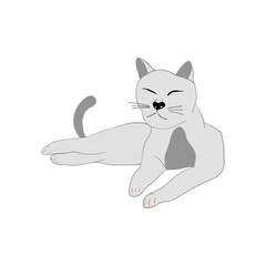 Vector illustration of cute grey cat. Sleeping domestic cat.  Design for veterinary clinic, pet shop advertising
