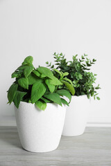 Different artificial potted herbs on white wooden table