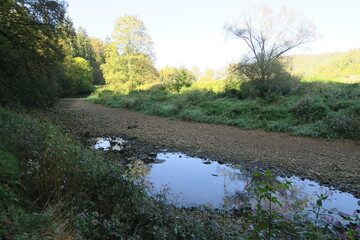 Wasser verschwindet in Sinklöchern im Flussbett der Donau in Immendingen (Baden-Württemberg).