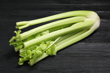 One fresh green celery bunch on black wooden table, closeup