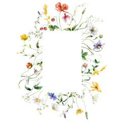 Watercolor floral frame of meadow flowers, poppies, cornflowers, chamomiles, raspberries and clovers. Hand painted illustration isolated on white background. For design, print, fabric or background.