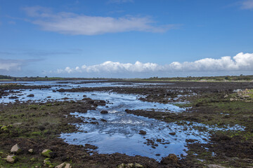 Ireland, Kinvarra - September 29 2023 "Wild Atlantic Way scenic road - Dunguaire Castle"