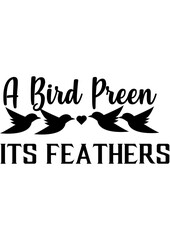 A bird preen its festhers 