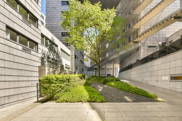 a tree in the middle of an urban area with buildings and plants growing on either side of the walkways
