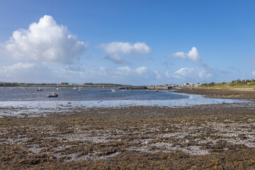 Ireland, Oranmore - September 29 2023 