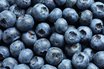 Tasty fresh blueberries as background, top view