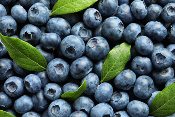 Tasty fresh blueberries with green leaves as background, top view