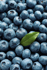 Tasty fresh blueberries with green leaf as background, top view