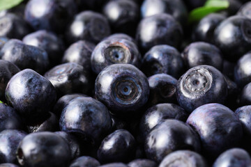 Many delicious ripe bilberries as background, closeup
