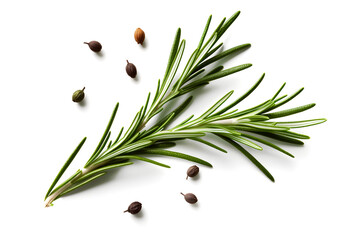 Fresh green organic rosemary leaves and peper isolated on white background, Transparent background and natural transparent shadow, Ingredient, spice for cooking, collection for design 