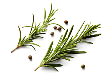Fresh green organic rosemary leaves and peper isolated on white background, Transparent background and natural transparent shadow, Ingredient, spice for cooking, collection for design 