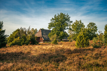 Lüneburger Heide, Wilsede