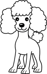 Poodle dog Coloring page for kids