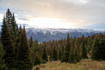 Mountain scene in fall in the Bridger-Teton National Forest of Wyoming