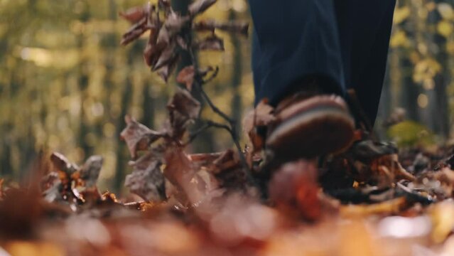 mom with her son in the garden with there dog sitting and playing near the trees