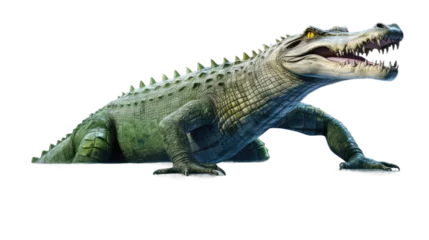 Muurstickers crocodile on transparent background (png) © shamim