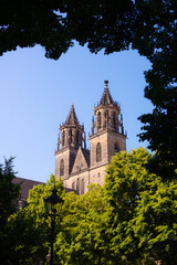 Fototapeta premium Magdeburger Dom hinter Bäumen bei Sonnenaufgang