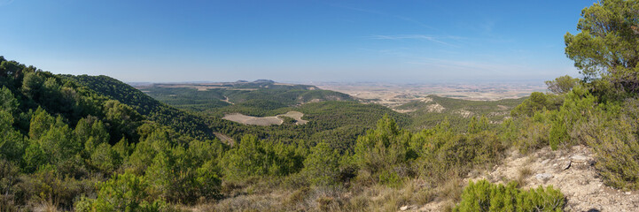 Fototapeta na wymiar Panoramic view of the Bardena Negra or Bardena black desert landscape of Bardenas Reales with vegetation, Navarra, Spain