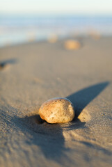 Waves gently kiss the sandy shore as people relax, capturing the serenity and joy of seaside vacations