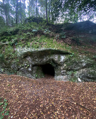 The cave in the wild forest