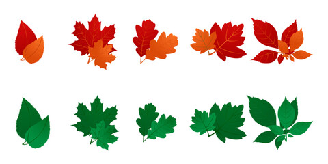 Obraz premium Set of autumn leaves. vector isolated illustration of green and yellow leaves on a white background. ep. 10
