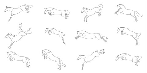 Various phases of a horse jumping on freedom, line vector illustration