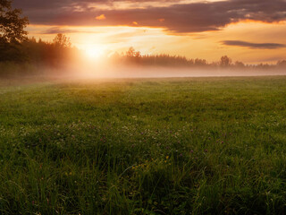 Obraz na płótnie Canvas Warm fog over a cut grass filed at sunrise. Rural farmland. Stunning nature scene. Calm and peaceful mood. Relaxing view on a meadow in a mist. Dramatic sky.