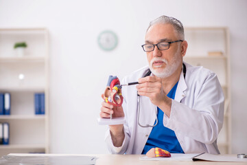 Old male doctor cardiologist working in the clinic