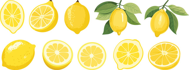 Isolated citrus clipart, lemons slices, cut and on branch with green leaves. Fresh vitamin C food, lemon vector collection