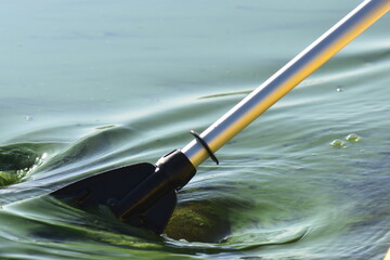 oar in the green river waters 