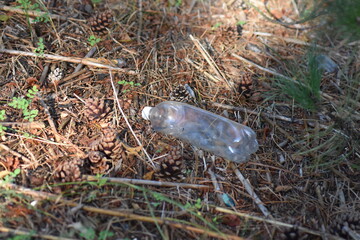 plastic bottle  on the ground in pine forest