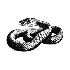 Hand Drawn Sketch Black Rat Snake Illustration