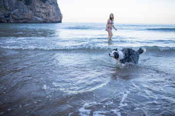dog looking at his owner while bathing in the sea