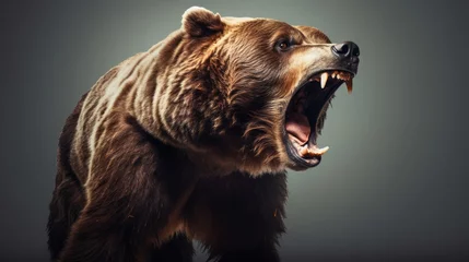 Fotobehang A roaring brown bear in the wild © mattegg