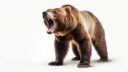 Fototapeta premium A fierce brown bear roaring in the wilderness