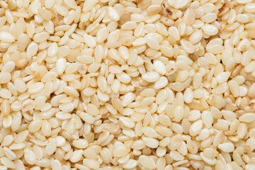 Macro photography of white sesame.