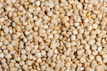 Macro photography of quinoa.