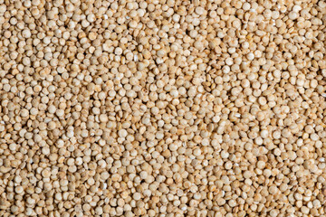 Macro photography of quinoa.