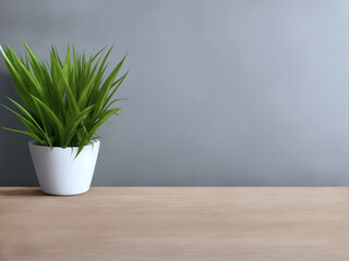 green plant in a pot, on wooden table and gray wall, copy space