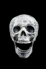 Human skull isolated on a black background. (This is toy model for decorate)