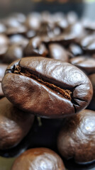 Close-up of Freshly Roasted Brown Coffee Beans