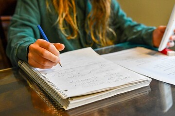 Teenage girl doing her homework