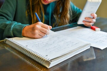 Teenage girl doing her homework
