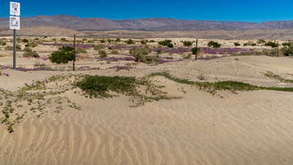 North Bermuda Dunes in Palm Desert - as seen from Avenue 38