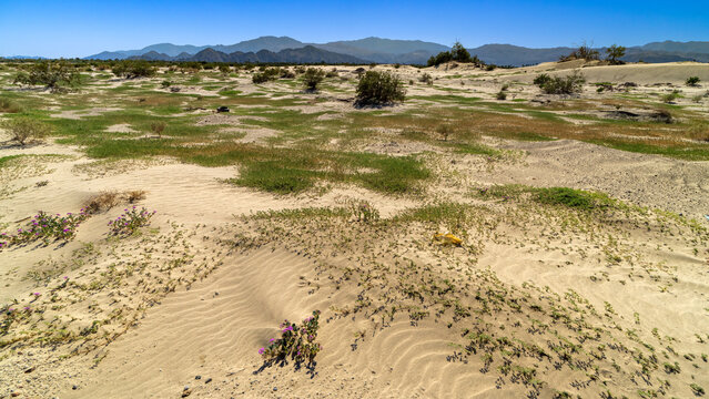 North Bermuda Dunes in Palm Desert - as seen from Avenue 38