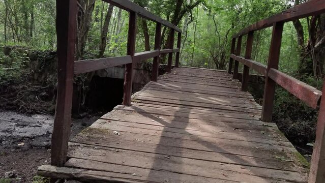 an old unstable wooden bridge in the forest vegetation