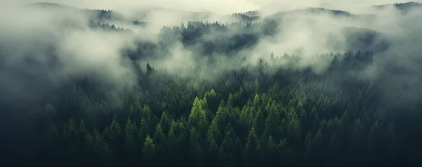 Fototapeten Panoramic view of misty foggy mountain landscape with fir forest, morning fog. Evanescent atmosphere in the woods wrapped in mist. Vintage retro hipster style © ratatosk
