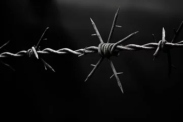 Foto op Canvas Monochrome silhouette photo of barbed wire on a dark fence © The Big L