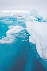 Surface and Underwater Views of Pack Ice Icebergs © wildnerdpix